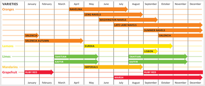 Production Calendar for Ingerson Citrus