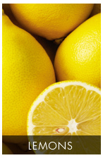 Ingy's Lemons