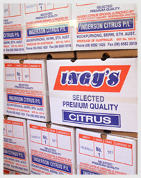 Ingys Packaging